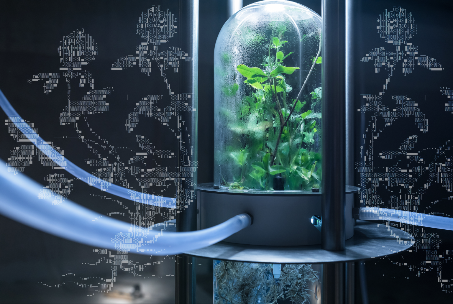 Anatomy-of-a-Symbiosis-Sasa-Spacal-Image-01-1536x1031